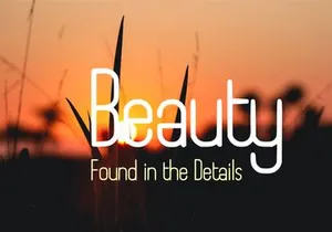 Boyanda - Modern Organic Display Font