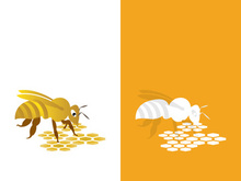 Bee logo vector icon illustration design