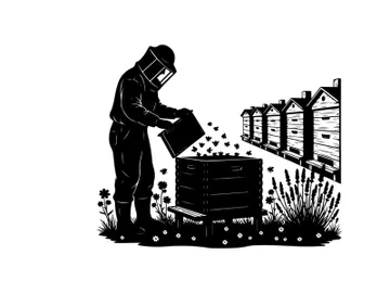 Beekeeper in silhouette inspecting a beehive on a sunny day with silhouette preview picture
