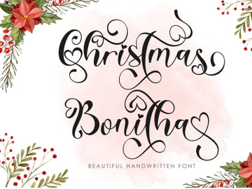 Christmas Bonitha preview picture