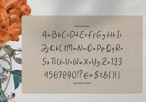 Single Whimney | Handwritten Script