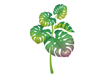 Jungle vegetation cartoon vector illustration preview picture