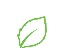 leaf logo green ecology nature element vector image