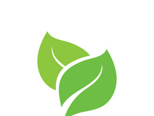 leaf logo green ecology nature element vector image
