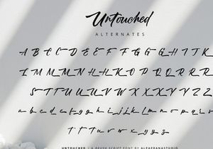 Untouched - Brush Script Font