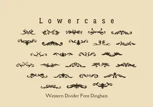 Wastern Divider
