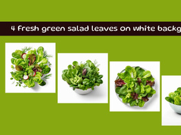 Fresh green salad leaves on white background preview picture