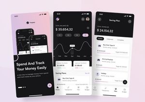 Paypay - Money Management Mobile and Saas App