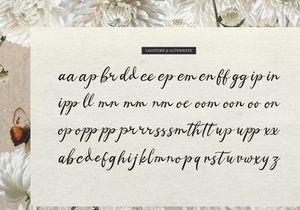 Mercyst Archangell | Vintage Handwritten