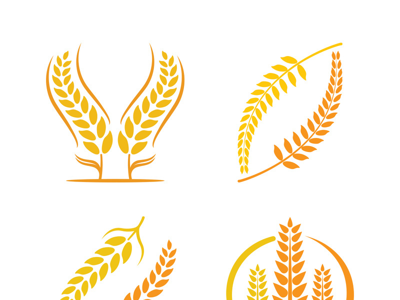 Wheat logo vector icon illustration design