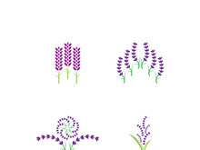 Fresh lavender flower logo vector flat design