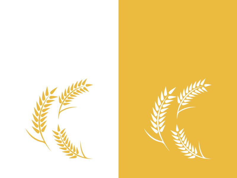Wheat logo vector icon illustration design
