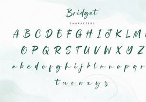 Bridget - Modern Script Font