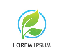 Natural green leaf logo design.