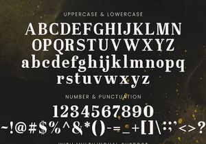 Westerniya Serif - Elegant Serif Font