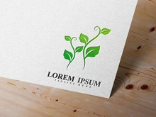 Leaf Tree Green Logo vector