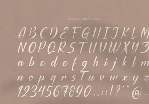 Palfian | Brush Solid Script