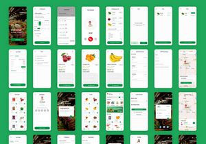Grocery Delivery App