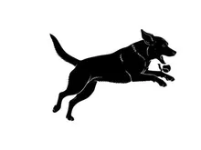 Black silhouette of a dog running quickly to the right