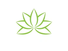 Vegan leaf green eco logo nature