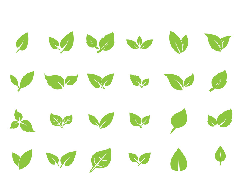 Leaf logo vector icon design template