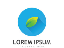 Colorful natural leaf logo design.