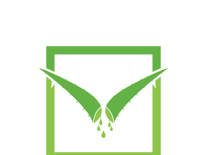 Aloe Vera logo icon design symbol beauty skin care
