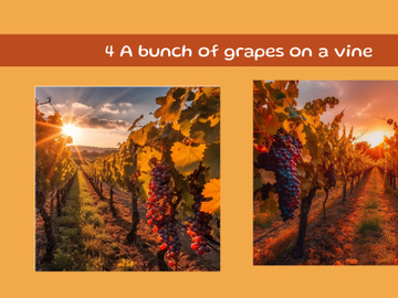 A bunch of grapes on a vine preview picture