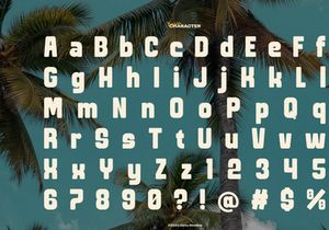 Fredoka Summer | Bold Display Sans