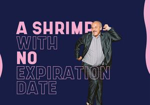 Shrimp - Free Typeface