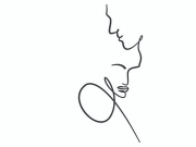 Art Line, Drawing Illustration