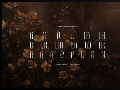 Brunelis Noctelle | Display Serif Font