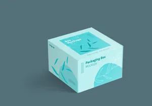 Mailing Box Packaging Mockups