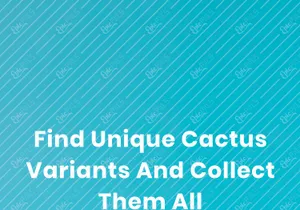 Cacti - Cactus Store Online Mobile App