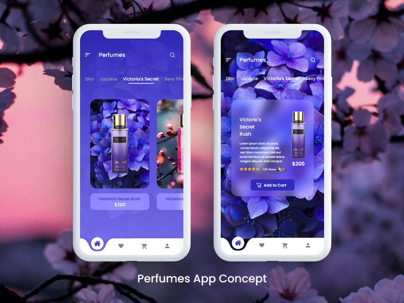 Perfumes App Design Concept 2