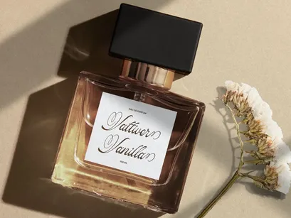 Pitholica Delicate | Classic Elegant Script