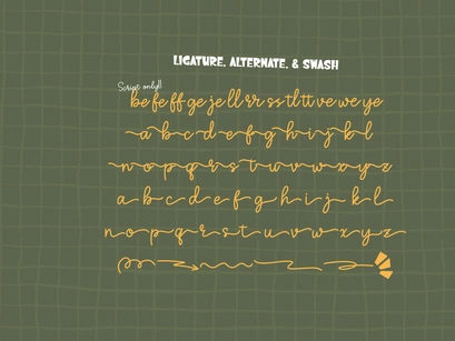 Hoola Summericon | Hand Drawn Duo Font