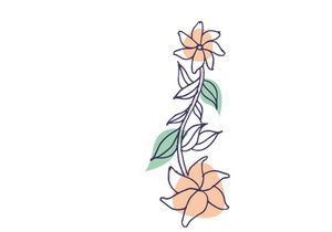 Line Art Flower, Canvas Print Decoration