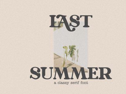 Sunne Fluent - A Classy Modern Serif Font