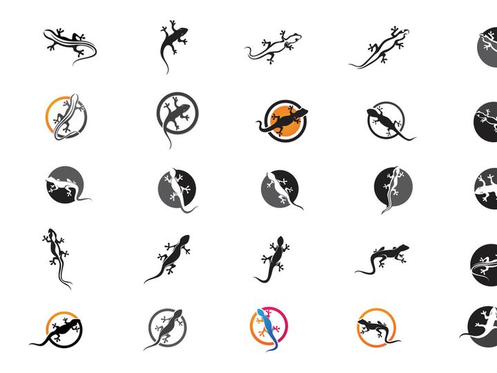 Lizard home logo animals