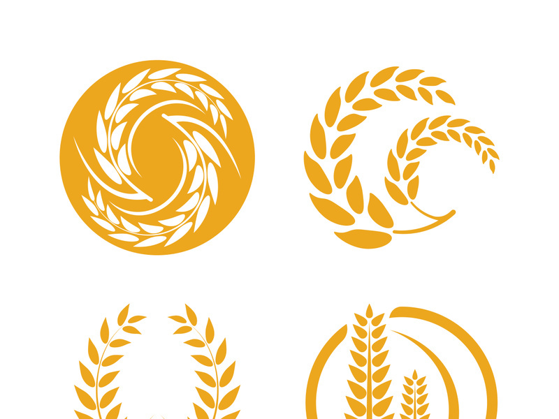 Wheat logo vector icon illustration design