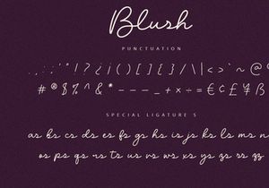 Blush - Script Font
