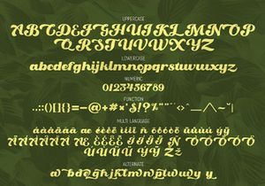Oaklash - Retro Bold Script Font
