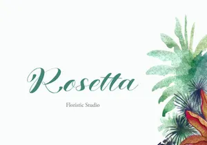 WONDER VARELIA - Script Calligraphy Font
