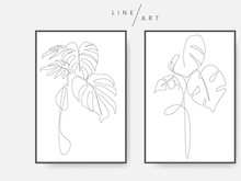 Monstera leaf line art