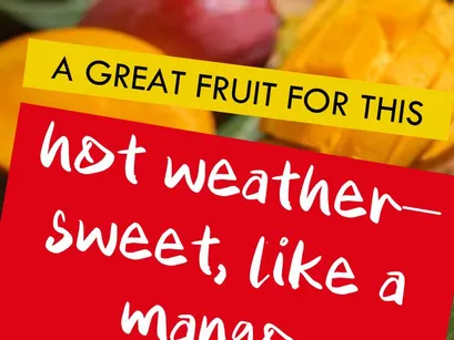 ELAAS – Basic Modern Casual Handwritten Font (OTF)