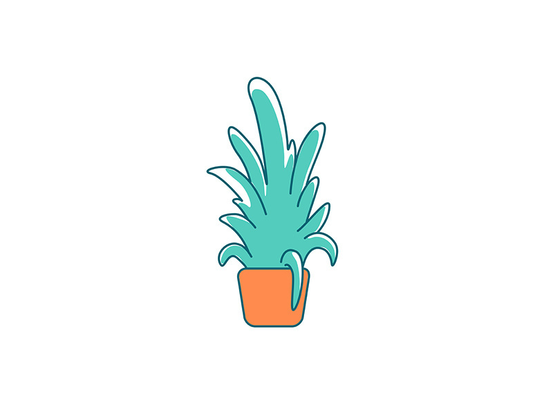 Indoor plant flat color vector object