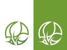 Logos of green tree leaf ecology nature element vector