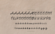 Northwick Cursive | Handwritten Script