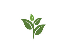 Eco green icon illustration design template
